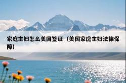 家庭主妇怎么美国签证（美国家庭主妇法律保障）