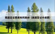 美国签证费用如何缴纳（美国签证手续费）