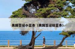 美国签证小蓝条（美国签证给蓝条）