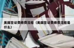 美国签证费缴费流程（美国签证费缴费流程是什么）