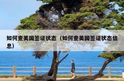 如何查美国签证状态（如何查美国签证状态信息）