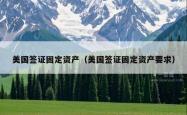 美国签证固定资产（美国签证固定资产要求）