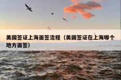 美国签证上海面签流程（美国签证在上海哪个地方面签）