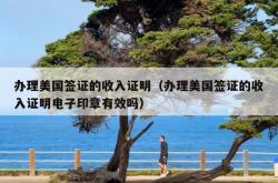 办理美国签证的收入证明（办理美国签证的收入证明电子印章有效吗）