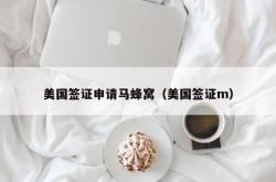 美国签证申请马蜂窝（美国签证m）