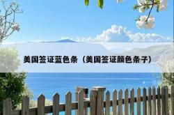 美国签证蓝色条（美国签证颜色条子）