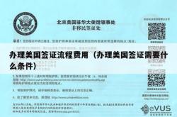 办理美国签证流程费用（办理美国签证需要什么条件）