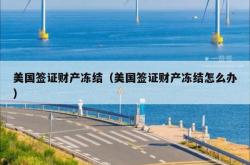 美国签证财产冻结（美国签证财产冻结怎么办）