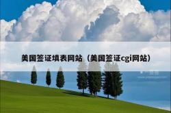 美国签证填表网站（美国签证cgi网站）