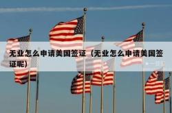 无业怎么申请美国签证（无业怎么申请美国签证呢）