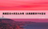 美国签证小孩怎么办理（去美国看孩子办签证）