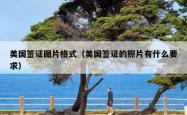 美国签证图片格式（美国签证的照片有什么要求）
