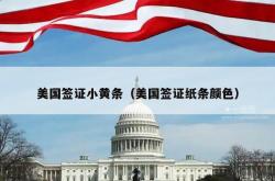 美国签证小黄条（美国签证纸条颜色）
