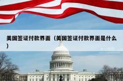 美国签证付款界面（美国签证付款界面是什么）