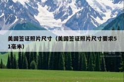美国签证照片尺寸（美国签证照片尺寸要求51毫米）