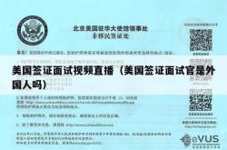 美国签证面试视频直播（美国签证面试官是外国人吗）