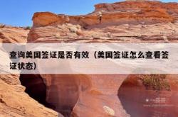 查询美国签证是否有效（美国签证怎么查看签证状态）