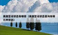 美国签证状态有哪些（美国签证状态查询有哪几种状态）