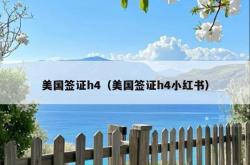 美国签证h4（美国签证h4小红书）