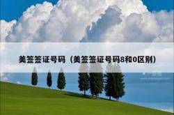 美签签证号码（美签签证号码8和0区别）
