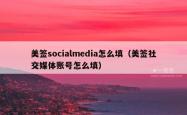 美签socialmedia怎么填（美签社交媒体账号怎么填）