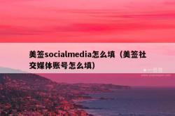 美签socialmedia怎么填（美签社交媒体账号怎么填）