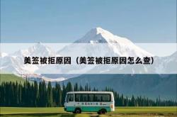 美签被拒原因（美签被拒原因怎么查）