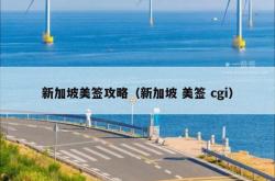 新加坡美签攻略（新加坡 美签 cgi）