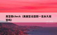 美签假check（美国签证造假一定永久拒签吗）