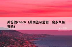 美签假check（美国签证造假一定永久拒签吗）