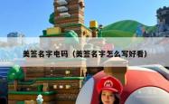 美签名字电码（美签名字怎么写好看）
