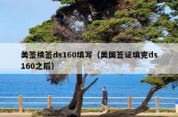 美签续签ds160填写（美国签证填完ds160之后）