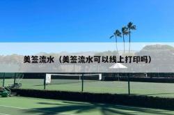 美签流水（美签流水可以线上打印吗）