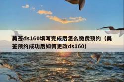 美签ds160填写完成后怎么缴费预约（美签预约成功后如何更改ds160）