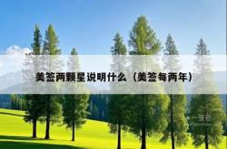 美签两颗星说明什么（美签每两年）