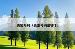美签号码（美签号码是哪个）