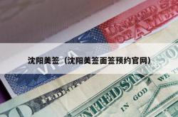 沈阳美签（沈阳美签面签预约官网）