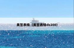 美签表格（美签表格ds160）