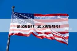 武汉美签f1（武汉美签放号）
