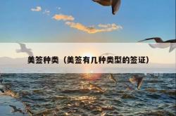 美签种类（美签有几种类型的签证）