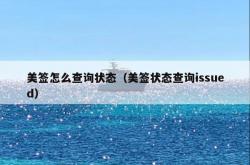 美签怎么查询状态（美签状态查询issued）