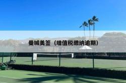 曼城美签（增值税缴纳逾期）