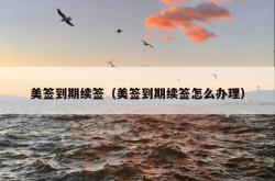 美签到期续签（美签到期续签怎么办理）