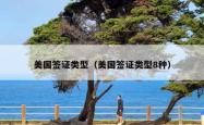 美国签证类型（美国签证类型8种）