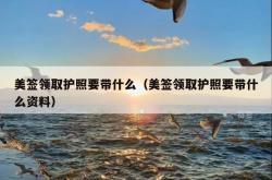 美签领取护照要带什么（美签领取护照要带什么资料）
