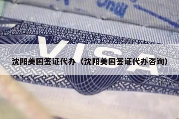 沈阳美国签证代办(沈阳美国签证代办咨询)