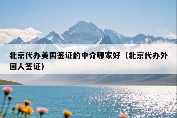 北京代办美国签证的中介哪家好(北京代办外国人签证)