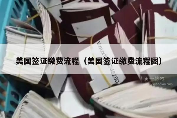 美国签证缴费流程(美国签证缴费流程图)