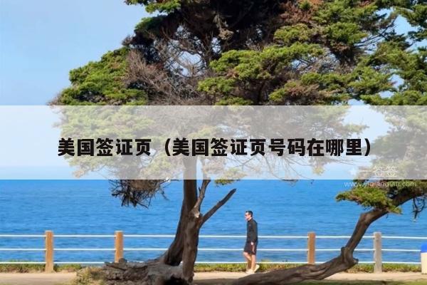 美国签证页(美国签证页号码在哪里)