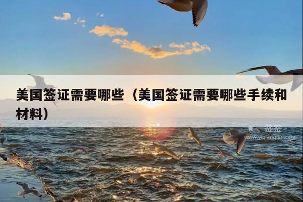 美国签证需要哪些(美国签证需要哪些手续和材料)